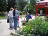 seller-of-sugar-treat.jpg - 